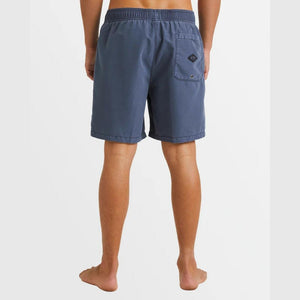 Billabong All Day Overdye Layback Boardshorts