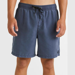 Billabong All Day Overdye Layback Boardshorts