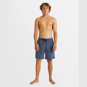 Billabong All Day Overdye Layback Boardshorts