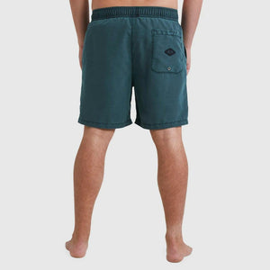 Billabong All Day Overdye Layback Boardshorts