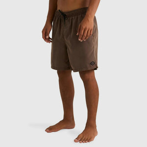 Billabong All Day Overdye Layback Boardshorts