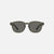 Carve Havana Polarized Grey Translucent Frame Sunglasses