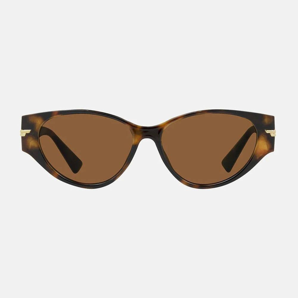 Carve Rhode Gloss Tort Brown Lens Sunglasses