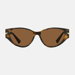 Carve Rhode Gloss Tort Brown Lens Sunglasses
