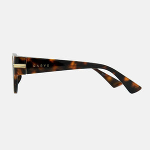 Carve Rhode Gloss Tort Brown Lens Sunglasses