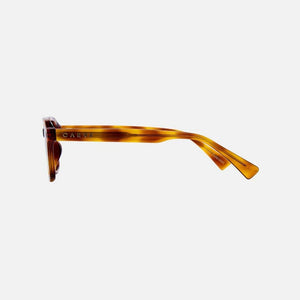 Carve Del Ray Tort Brown Gradient Polarised Sunglasses