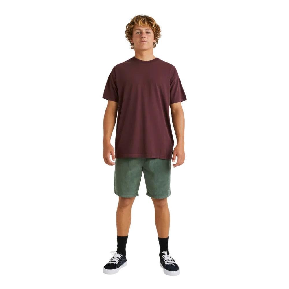 Billabong Premium Wave Wash T-Shirt